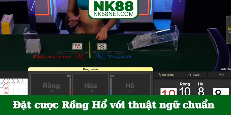 dat-cuoc-rong-ho-voi-thuat-ngu-chuan