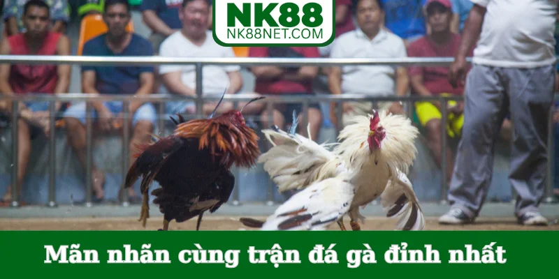 man-nhan-cung-tran-da-ga-dinh-nhat