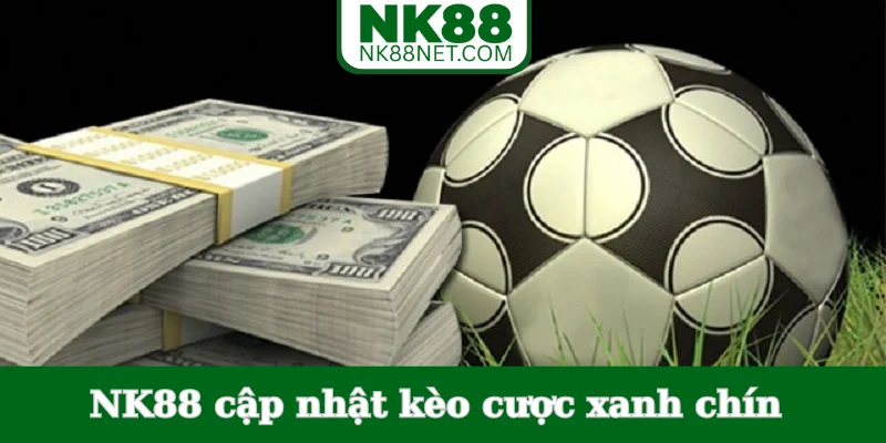 nk88-cap-nhat-keo-cuoc-xanh-chin